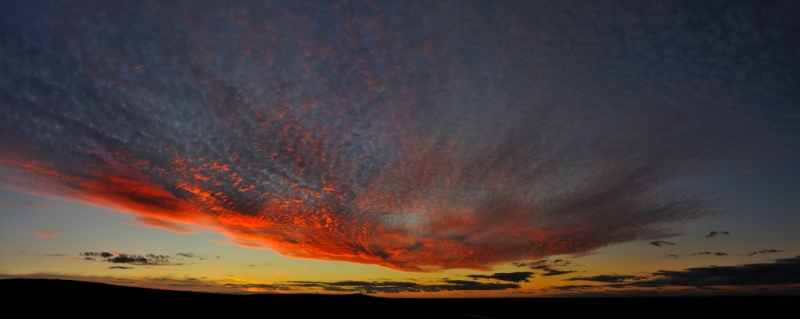 Gnarwarre 25.jpg